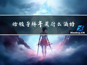 给领导拜年买什么酒好点