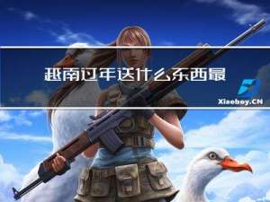 越南过年送什么东西最好