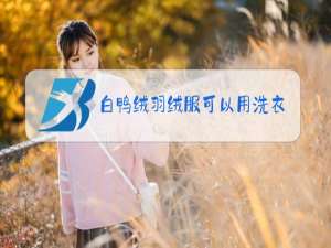白鸭绒羽绒服可以用洗衣机洗吗