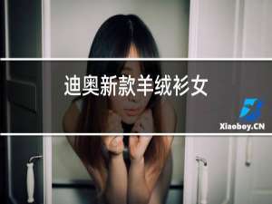 迪奥新款羊绒衫女