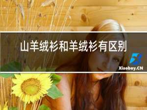 山羊绒衫和羊绒衫有区别吗