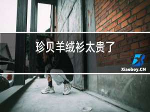 珍贝羊绒衫太贵了