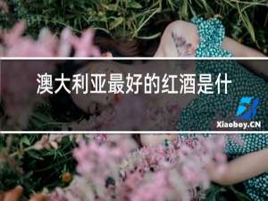 澳大利亚最好的红酒是什么牌子