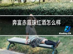 奔富赤霞珠红酒怎么样