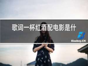 歌词一杯红酒配电影是什么歌