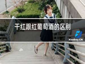 干红跟红葡萄酒的区别