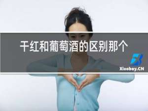 干红和葡萄酒的区别那个更好