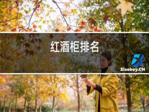 红酒柜排名