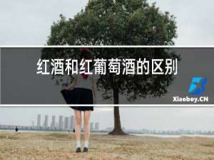 红酒和红葡萄酒的区别