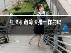 红酒和葡萄酒是一样的吗