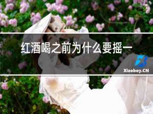 红酒喝之前为什么要摇一摇