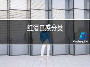 红酒口感分类