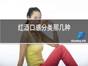 红酒口感分类那几种