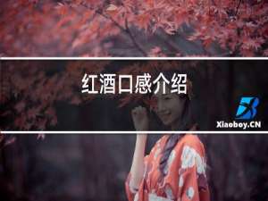 红酒口感介绍