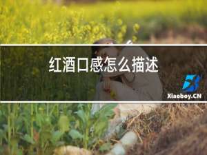 红酒口感怎么描述