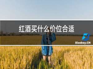 红酒买什么价位合适