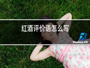 红酒评价语怎么写
