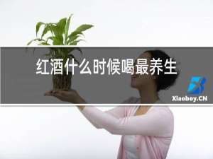 红酒什么时候喝最养生