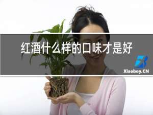 红酒什么样的口味才是好的