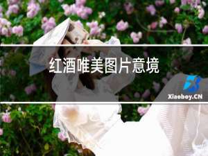 红酒唯美图片意境