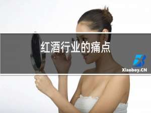 红酒行业的痛点