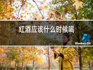 红酒应该什么时候喝