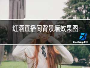 红酒直播间背景墙效果图