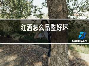红酒怎么品鉴好坏