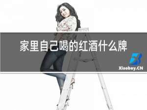 家里自己喝的红酒什么牌子好