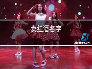 卖红酒名字