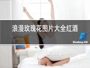 浪漫玫瑰花图片大全红酒