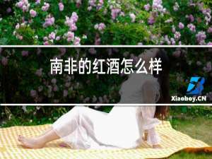 南非的红酒怎么样