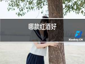 哪款红酒好