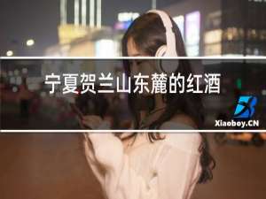 宁夏贺兰山东麓的红酒