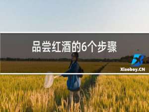 品尝红酒的6个步骤