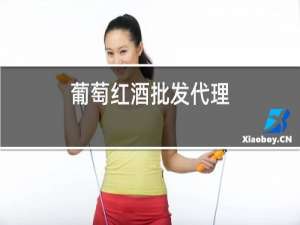 葡萄红酒批发代理