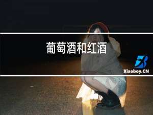 葡萄酒和红酒