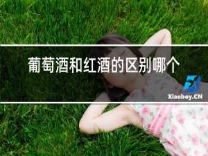 葡萄酒和红酒的区别哪个贵