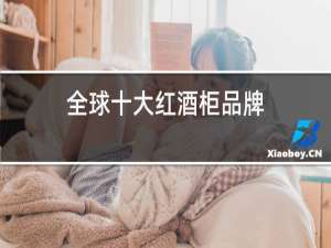 全球十大红酒柜品牌