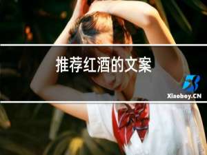 推荐红酒的文案