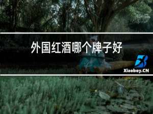 外国红酒哪个牌子好
