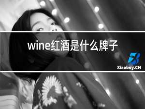 wine红酒是什么牌子多少钱