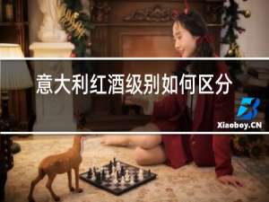 意大利红酒级别如何区分