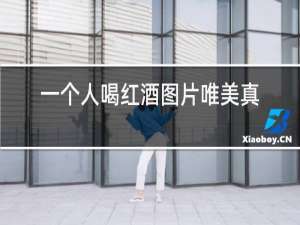 一个人喝红酒图片唯美真实