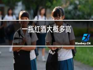 一瓶红酒大概多高