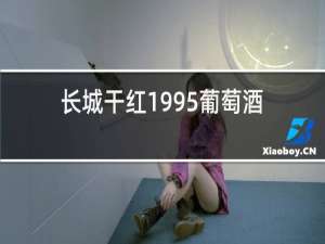 长城干红1995葡萄酒价