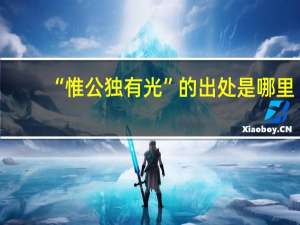 “惟公独有光”的出处是哪里